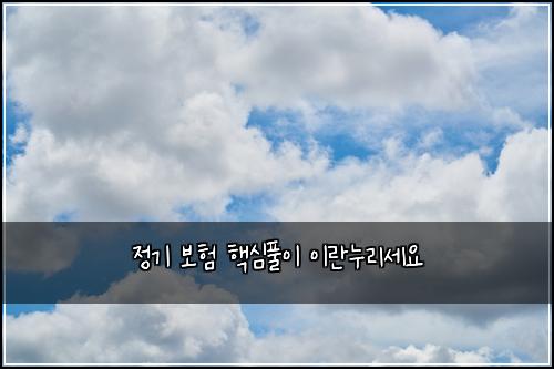 정기 보험 핵심풀이  이란누리세요