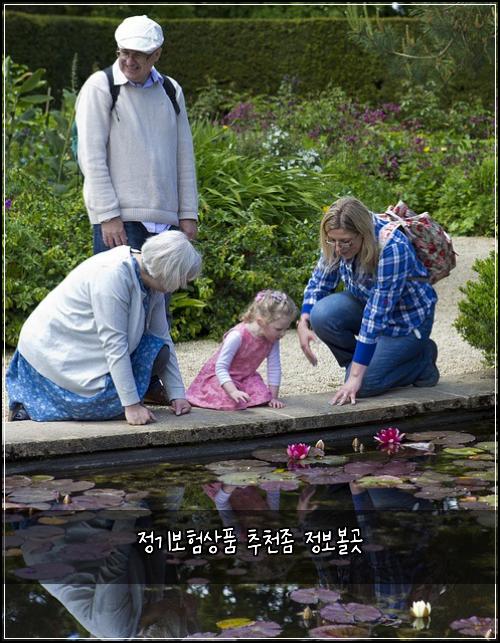 정기보험상품 추천좀 정보볼곳