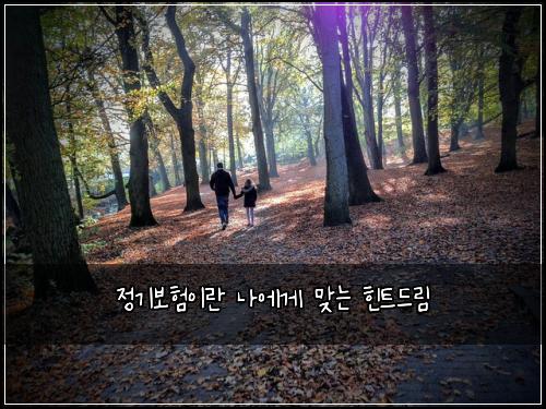 정기보험이란 나에게 맞는 힌트드림