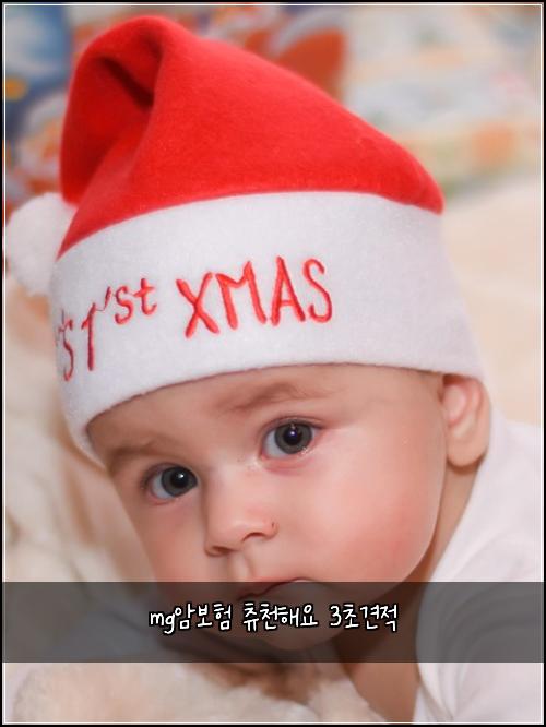 mg암보험 츄천해요  3초견적
