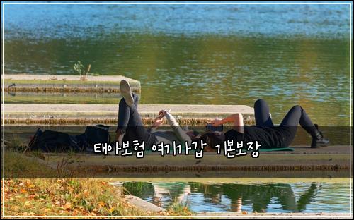 태아보험 여기가갑  기본보장
