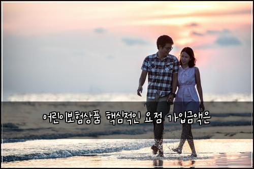 ์ด๋ฆฐ์ด๋ณดํ์ํ ํต์ฌ์ ์ธ ์์ ๊ฐ์
๊ธ์ก์