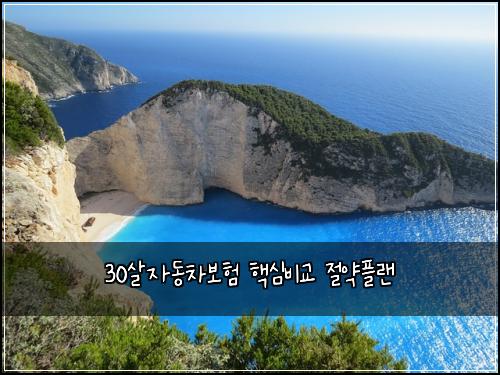 30살자동차보험 핵심비교  절약플랜