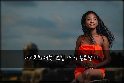 메리츠화재정기보험 내게 필요할까