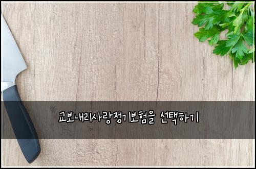 교보내리사랑정기보험을 선택하기
