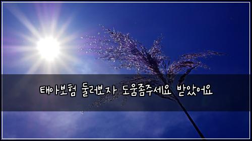 태아보험 둘러보자  도움좀주세요 받았어요