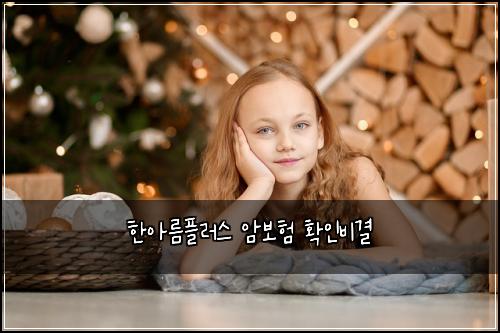 한아름플러스 암보험 확인비결 