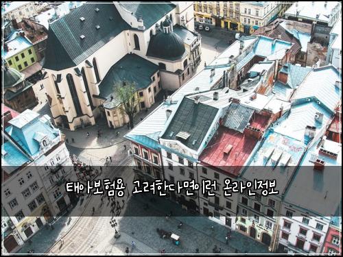 태아보험용 고려한다면이런 온라인정보