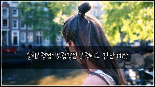 실비보험정기보험갱신 보험비교 간단계산