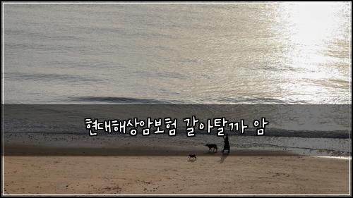 현대해상암보험 갈아탈까  암