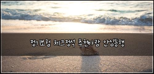 정기보험 체크정석  추천바람 안심동행