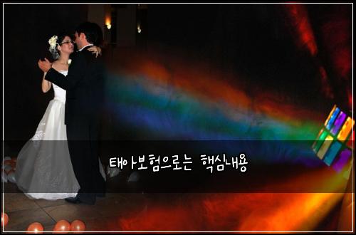 태아보험으로는 핵심내용