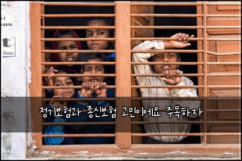 정기보험과 종신보험 고민이에요 주목하자