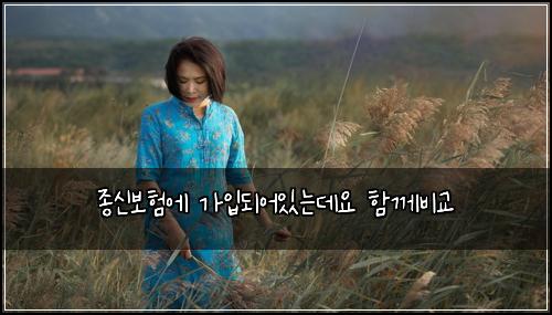 종신보험에 가입되어있는데요 함께비교