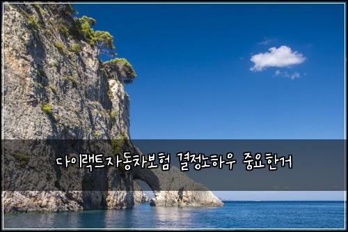 ๋ค์ด๋ํธ์๋์ฐจ๋ณดํ ๊ฒฐ์ ๋
ธํ์ฐ ์ค์ํ๊ฑฐ