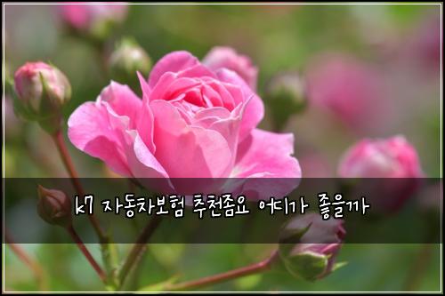 k7 자동차보험 추천좀요  어디가 좋을까