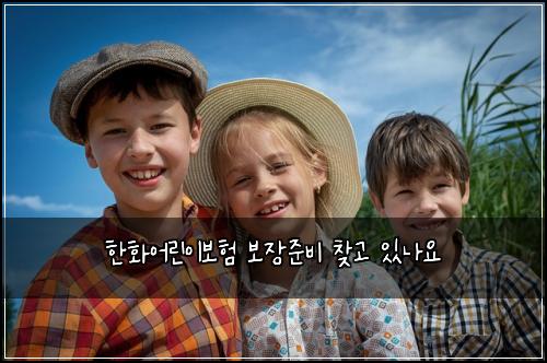 ํํ์ด๋ฆฐ์ด๋ณดํ ๋ณด์ฅ์ค๋น ์ฐพ๊ณ ์๋์