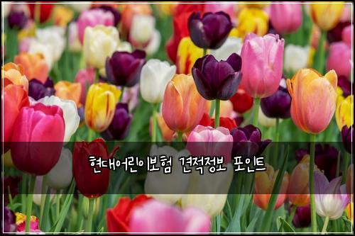 현대어린이보험 견적정보  포인트