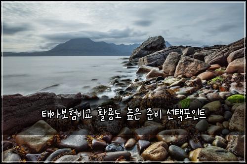 태아보험비교 활용도 높은 준비 선택포인트