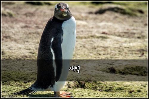 ์๋ฒฝ