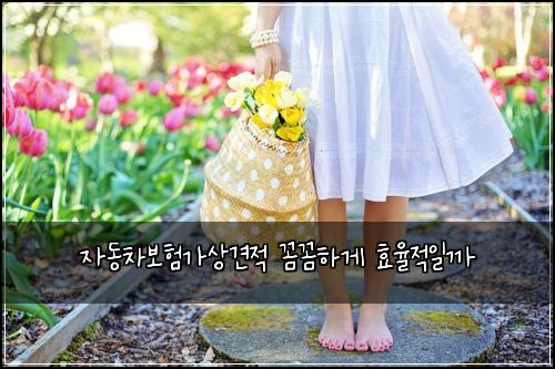 자동차보험가상견적 꼼꼼하게 효율적일까