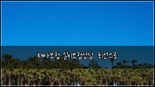 태아보험 실비보험상담 최선으로