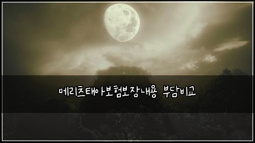 메리츠태아보험보장내용 부담비교