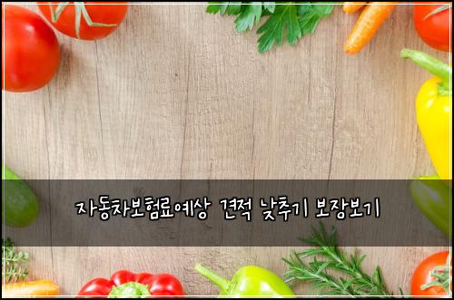 ์๋์ฐจ๋ณดํ๋ฃ์์ ๊ฒฌ์ ๋ฎ์ถ๊ธฐ ๋ณด์ฅ๋ณด๊ธฐ