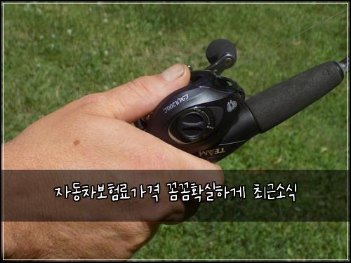 자동차보험료가격 꼼꼼확실하게 최근소식