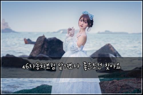 a6์๋์ฐจ๋ณดํ ๋งก๊ฒจ๋ณด์ ์ข์์กฐ๊ฑด ์ฐพ์์