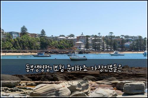 동부생명정기보험 준비하죠  가장인분들은