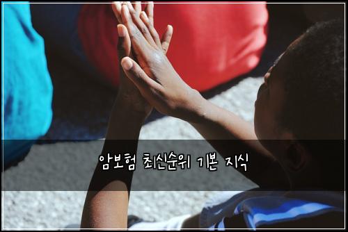 암보험 최신순위  기본 지식