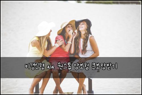 λΉκ°±μ ν aia μμ€ν± μ보ν ν°λ³΄μ₯λ°κΈ°