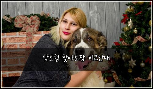 ์๋ณดํ ์ฐพ์๋ณด์ฅ ๋น๊ต์๋ด