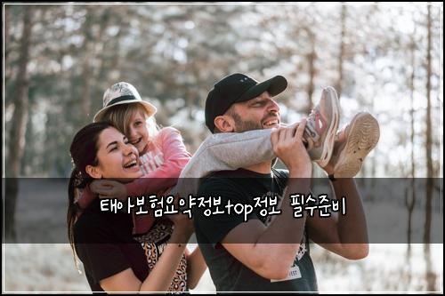 태아보험요약정보top정보 필수준비