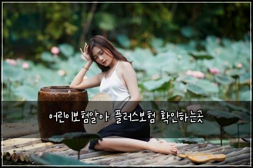 어린이보험알아 플러스보험 확인하는곳