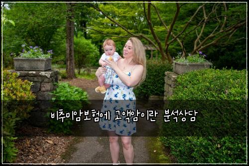 비추미암보험에 고액암이란 분석상담