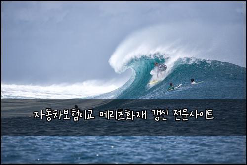 자동차보험비교 메리츠화재 갱신 전문사이트