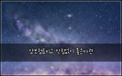 암보험료비교 막힘없이 좋은마련
