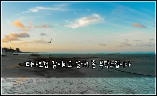 태아보험 같이비교  설계 좀 부탁드립니다