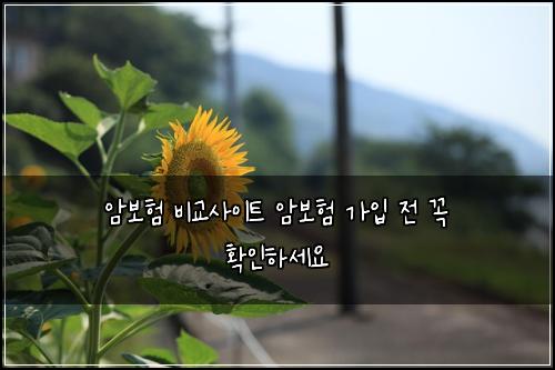 암보험 비교사이트 암보험 가입 전 꼭 확인하세요