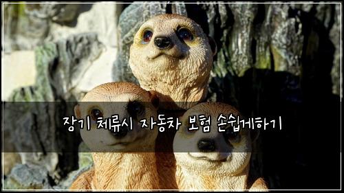 장기 체류시 자동차 보험 손쉽게하기 