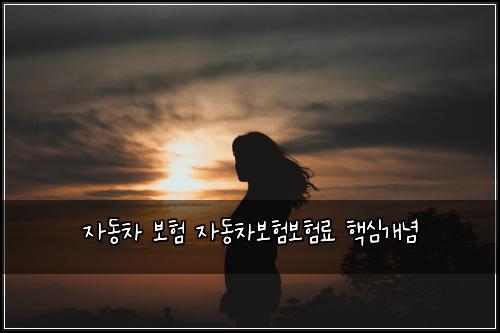 자동차 보험 자동차보험보험료 핵심개념