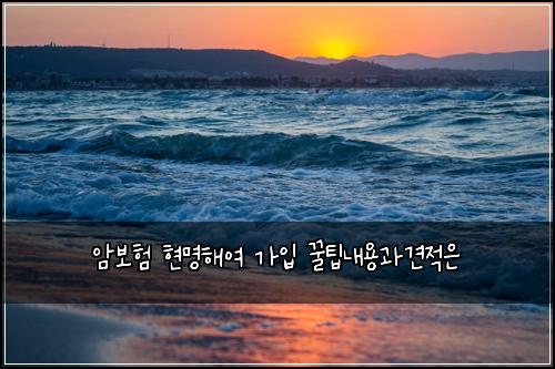 암보험 현명해여  가입 꿀팁내용과견적은