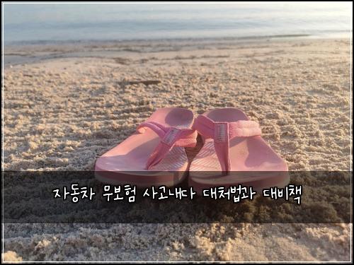 자동차 무보험 사고내다 대처법과 대비책