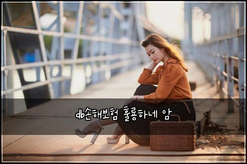 db손해보험 훌룡하네  암