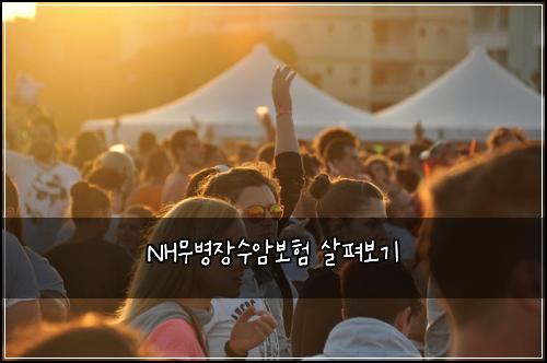 NH무병장수암보험 살펴보기