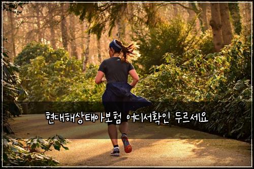 현대해상태아보험 어디서확인  두르세요