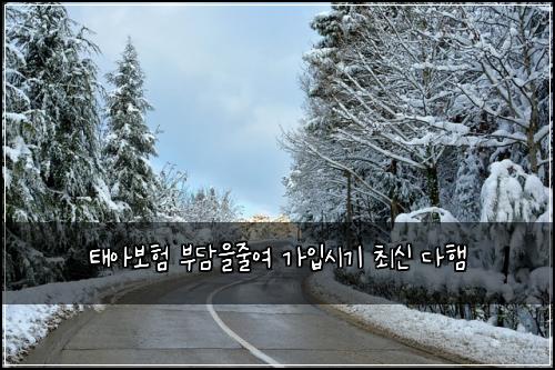 ํ์๋ณดํ ๋ถ๋ด์์ค์ฌ ๊ฐ์
์๊ธฐ ์ต์ ๋คํ