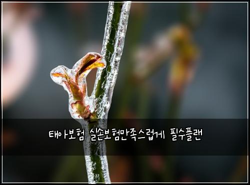 ํ์๋ณดํ ์ค์๋ณดํ๋ง์กฑ์ค๋ฝ๊ฒ ํ์ํ๋